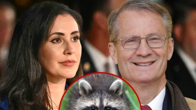 Congress Members Demand Seattle Protect Viral Raccoon Jimothy