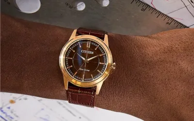 Citizen's New Eco-Drive Rolan Watch Features Vintage Brown Dial